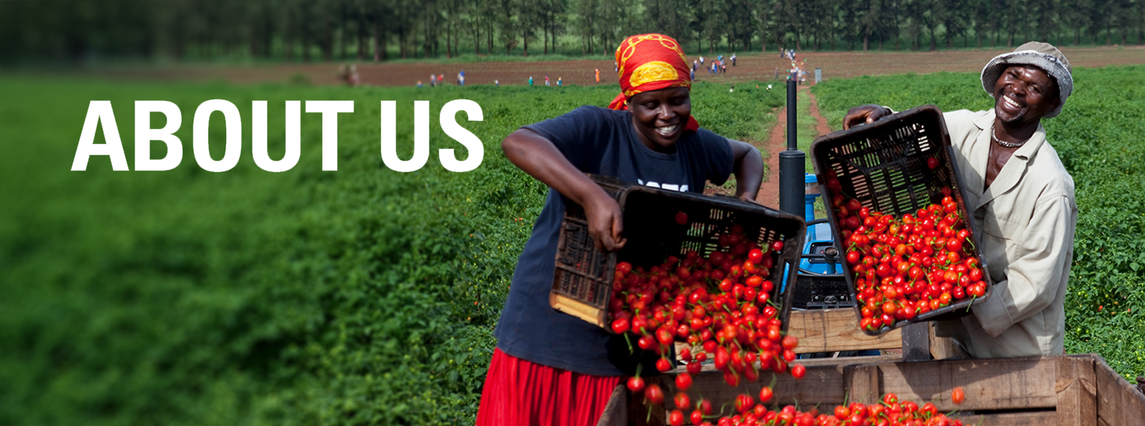 About PEPPADEW®